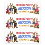 Happy Birthday Peter Rabbit Personalised Banner Customise with name and age Available in two sizes: Regular – 80cm x 30cm XL – 6ft x 2ft Mulit buy discounts available 