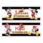 mickey minnie mouse birthdat decorations
