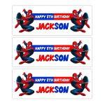 Spideram Happy Birthday personalised banner