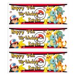 Happy Birthday Pokemon Personalised Banner Customise with name and age Available in two sizes: Regular – 80cm x 30cm XL – 6ft x 2ft Mulit buy discounts available 