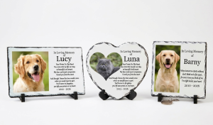 a pet memorial photo slate featuring a photo and heartfelt poem 